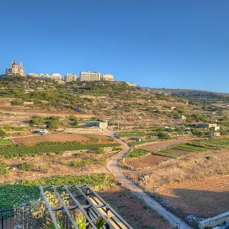 لونا هوليداي كومبليكس المليحة